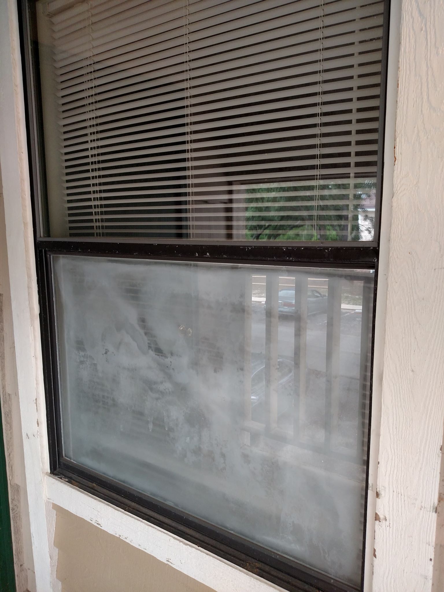 fog doors4 Shawn Lynch Glass Glass Professional